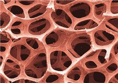 3D пореста мед